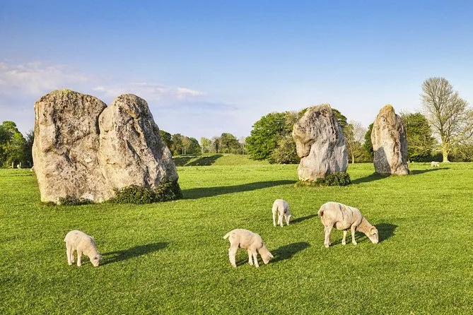 Schafe grasen zwischen den Menhiren von Avebury